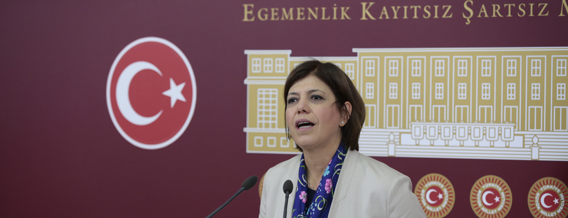 Beştaş: Egemenlik kayıtsız şartsız AKP iktidarının ve Erdoğan'ındır
