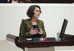 Filiz Kerestecioğlu: Hükümet erkekleri daha çok suça teşvik ediyor