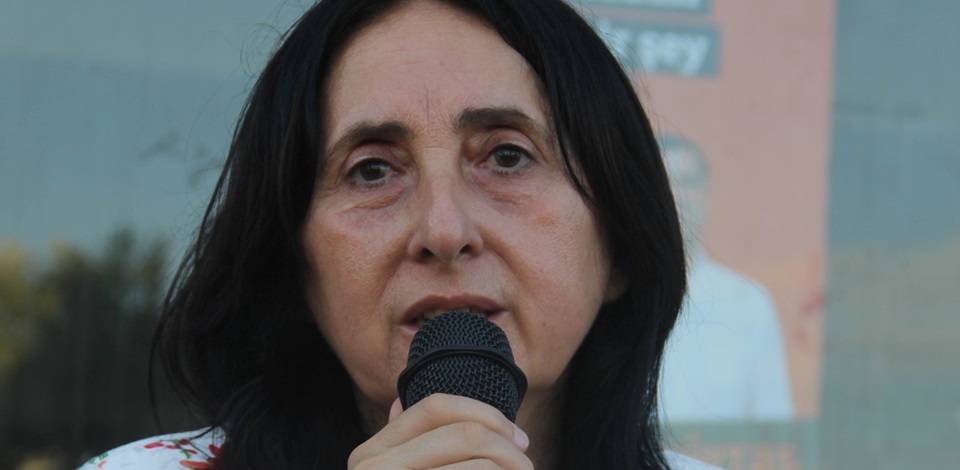 Aydoğan, Lice'de Mehdin Taşkın'ın katledilmesini Milli Savunma Bakanı Yılmaz'a sordu