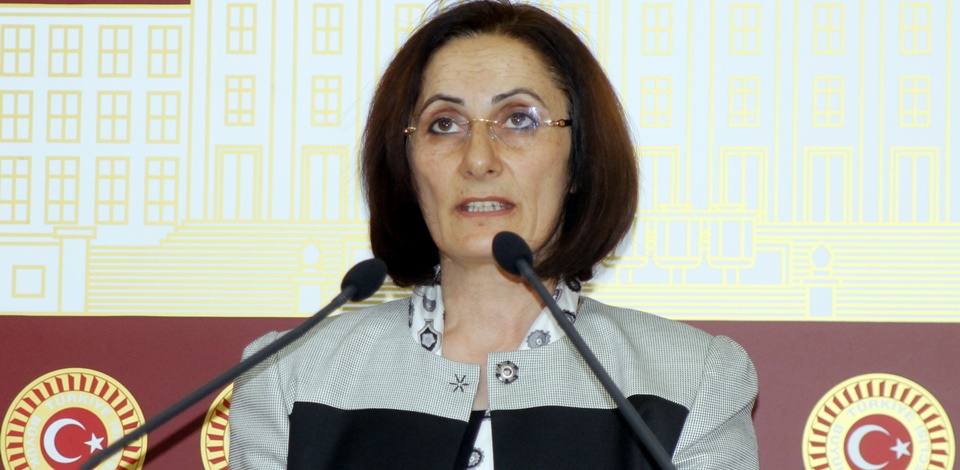 Birtane, soru sormak istediği için şiddete maruz kalan Fikriye Yılmaz'ın durumunu Meclis gündemine taşıdı