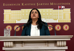 Çağlar Demirel: HDP'li danışmanların gözaltına alınması post modern parti kapatmanın son halkasıdır