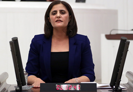 Taşdemir: Bu tekçi, inkarcı metin kader değil, bu metne mecbur değiliz
