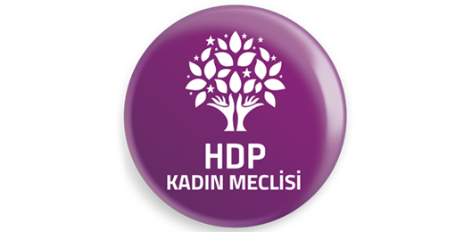 25 Kasım'da alanları dolduruyoruz (2019)