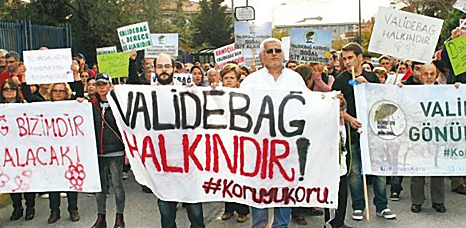 Tüzel, Validebağ'ı Meclis gündemine taşıdı