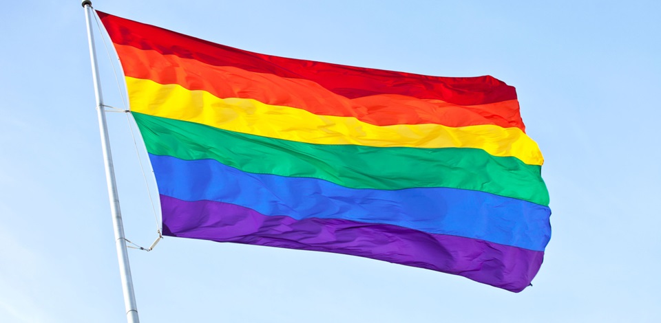 LGBTİ'lerden Demirtaş'a destek