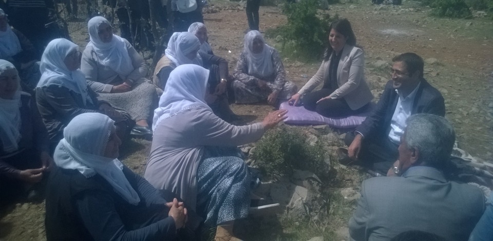 HDP'li vekiller Lice'ye gitti