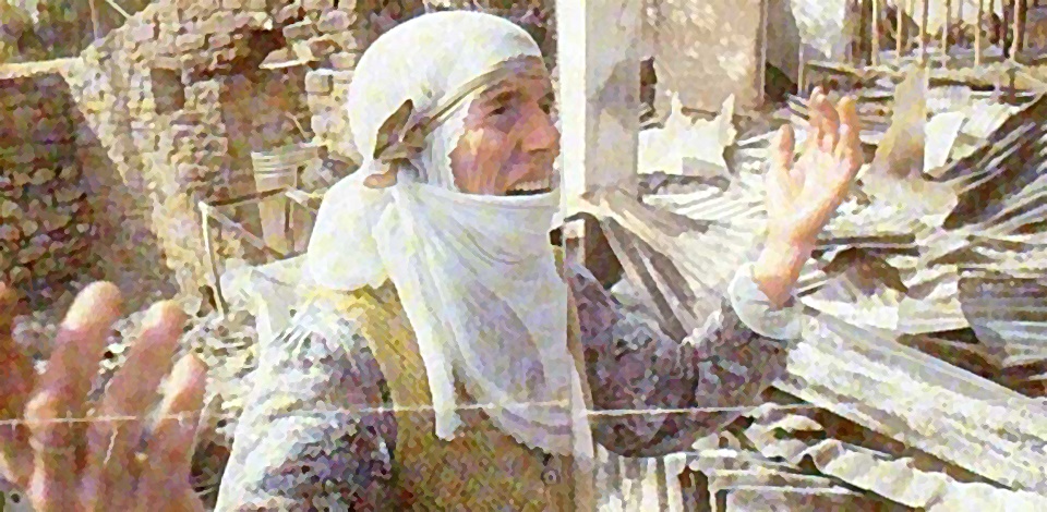 HDP, 'Özür Dileme Kanun Teklifi'ni Meclis'e verdi