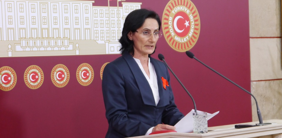 HDP Milletvekili Birtane, halay çeken askerleri Arınç'a sordu