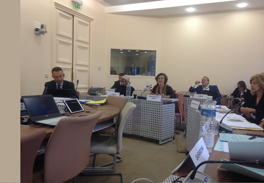 Report on Women's Rights Violations in Turkey