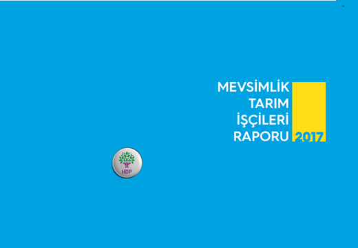 Mevsimlik Tarım İşçileri Raporumuz