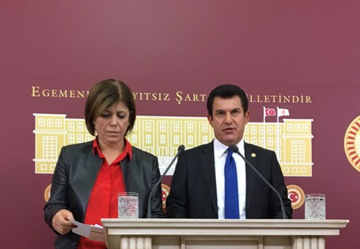 Muğla'ya giden heyetimiz: Köyceğiz'de yargısız infaz ve işkence iddialarına ilişkin resmi açıklama yapılmak zorunda  
