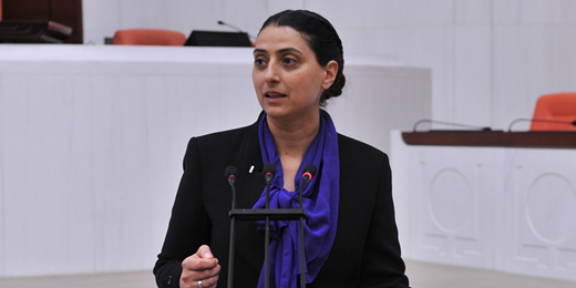 Uca, Dicle Vadisi’nde ve Hevsel Bahçeleri’nde yaşanan tahribatı meclis gündemine taşıdı