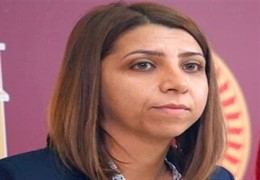 Aycan İrmez'den askeri yetkililer hakkında suç duyurusu