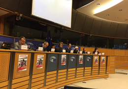 Baydemir Brüksel'de: Barış projesi HDP yok edilmek isteniyor