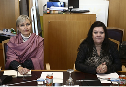 AKPM Eş Raportörleri, devam eden anayasal değişiklik sürecini yakından izlediklerini ifade etti  