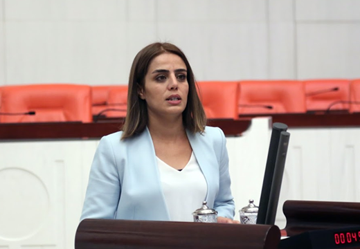 Başaran: SİHA'lar hâkim oldu, savcı oldu, cellat oldu