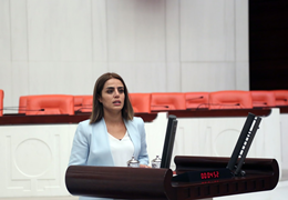 Ayşe Acar Başaran: Anayasa değişiklik teklifinde kadın yok