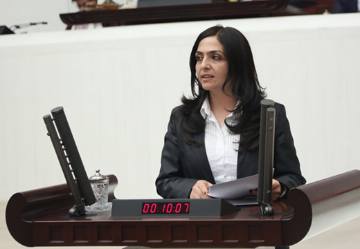 Özgökçe'nin AKP'lilerce reddedilen çocuk istismarı araştırma önergesi