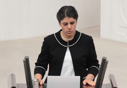 Dilek Öcalan: Bu bütçede kadın yok