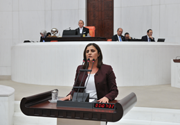 Taşdemir: Yıllarca vaatlerini cebine koyan AKP, Ağrı Belediyesi'ni kaybettiği için kayyum atadı