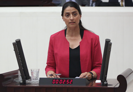 Feleknas Uca'dan Sur önergesi