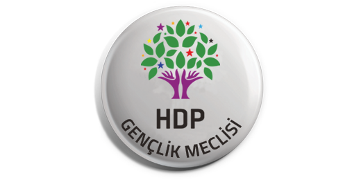 Gençliğin devrimci siyaseti engellenemez !