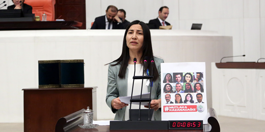 Birlik'ten Soylu'ya, anadili hakkı ve Kürtçeye yönelik baskılara ilişkin Kürtçe ve Türkçe önerge