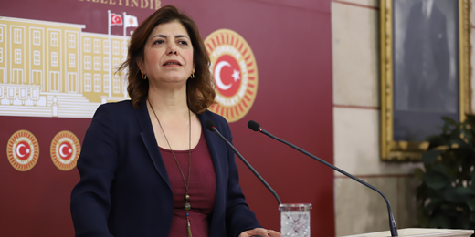 Beştaş: AKP-MHP çevre sorununa rant gözüyle bakıyor, giderayak tarımı da bitirmeye çalışıyor