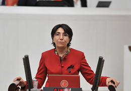 Batman Milletvekilimiz Saadet Becerekli'nin IŞİD tarafından yakılan askerlerle ilgili soru önergesi.