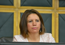 Selma Irmak'ın önergesi