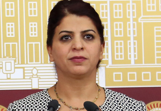 Lice'de bir kadının zırhlı araç çarpması sonucu yaşamını yitirmesine ilişkin önergemiz