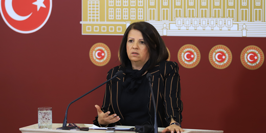 Kurtulan: Meclis Ahlat'ta yapılacak sarayı gündemine alacağına deprem ve çığ konusunda bir komisyon kurmalıdır