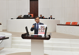 Pir'in Antalya Cezaevindeki iddialara ilişkin önergesi