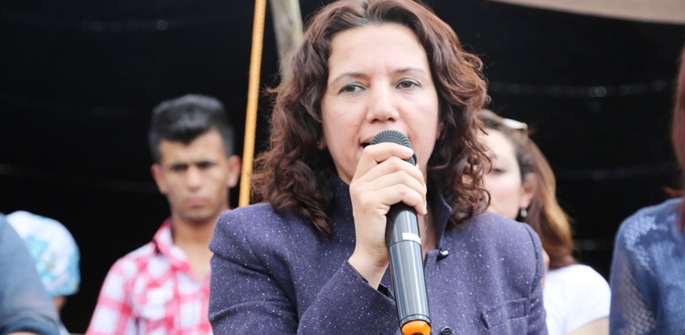 HDP Şırnak Milletvekilleri, yapılmak istenen termik santrallere karşı doğa festivalinde konuştu